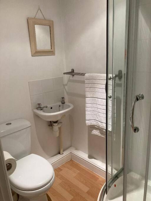 Studio Annexe With Separate Shower Room Broadhempston 외부 사진